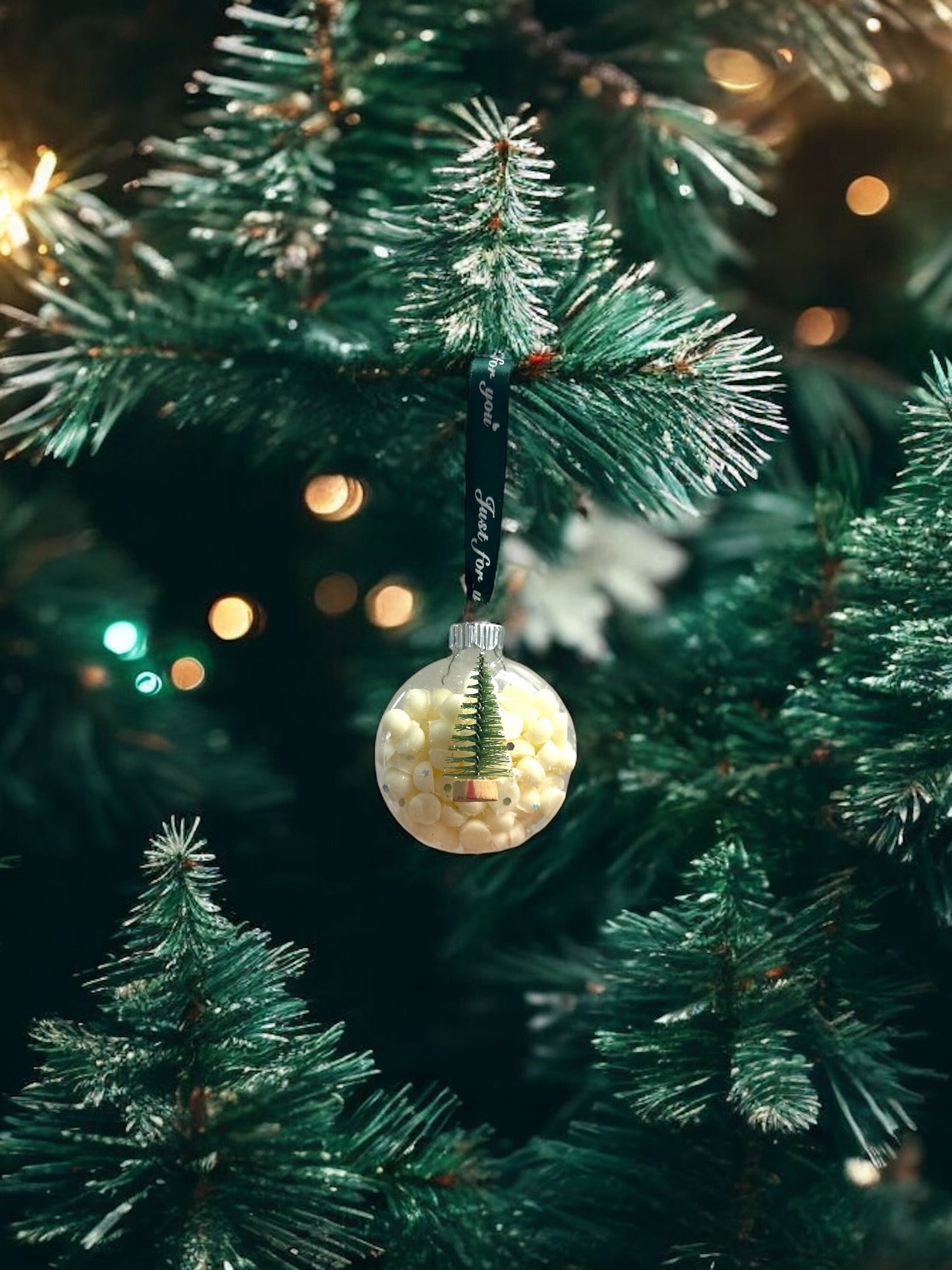Winter Wonderland Ornaments - Lucent Aura