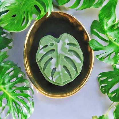 Monstera Luxe Leaf - Lucent Aura