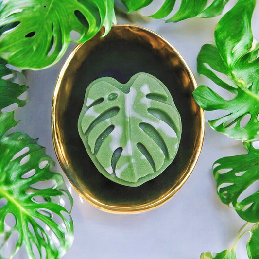 Monstera Luxe Leaf - Lucent Aura