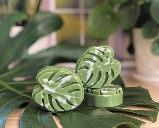 Monstera Luxe Leaf