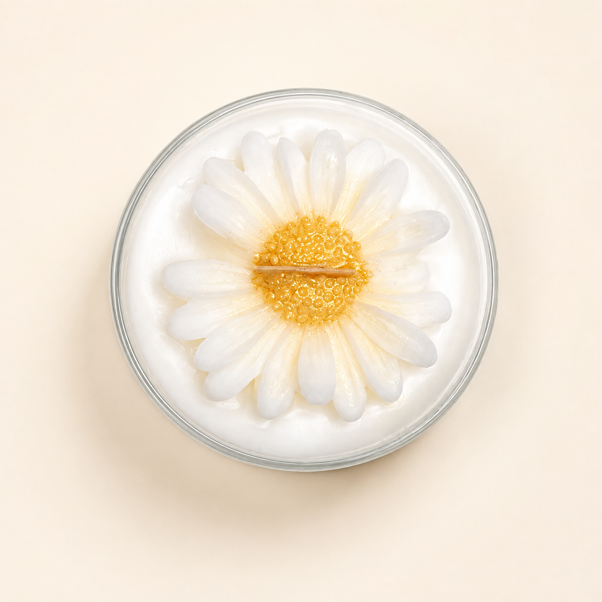 Vanilla Daisies
