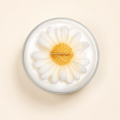 Vanilla Daisies